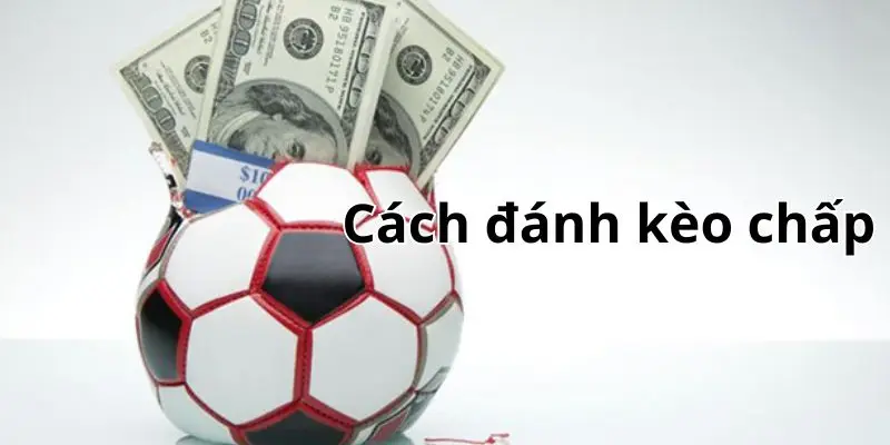 Tìm hiểu tỷ lệ kèo chấp một nửa tại 8XBET để tăng khả năng thắng cược hiệu quả.